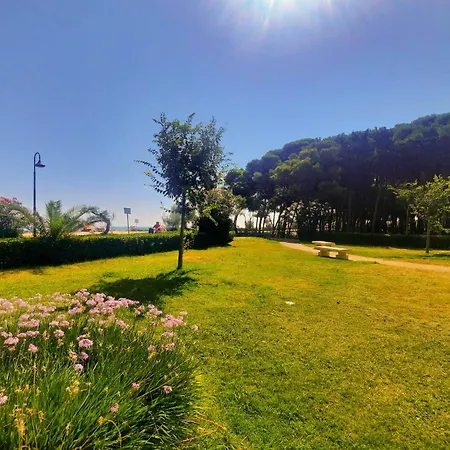 Alba Rosa 6 - Myho Casa Alba Adriatica