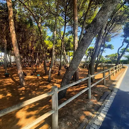 Alba Rosa 6 - Myho Casa