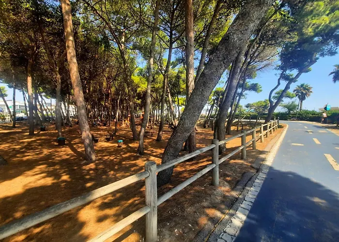 Alba Rosa 6 - Myho Casa